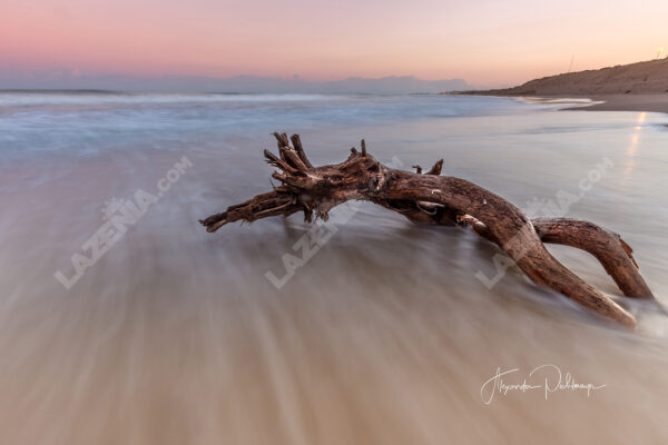 Guardamar del Segura, Drifting Tides