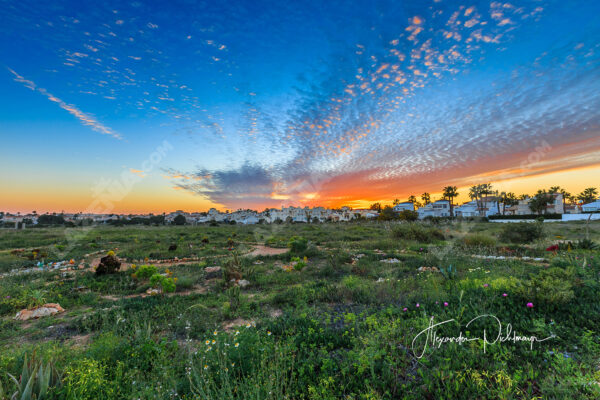 Playa Flamenca, Sunset Fields